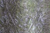 Harknetts Gate fibreglass roof work